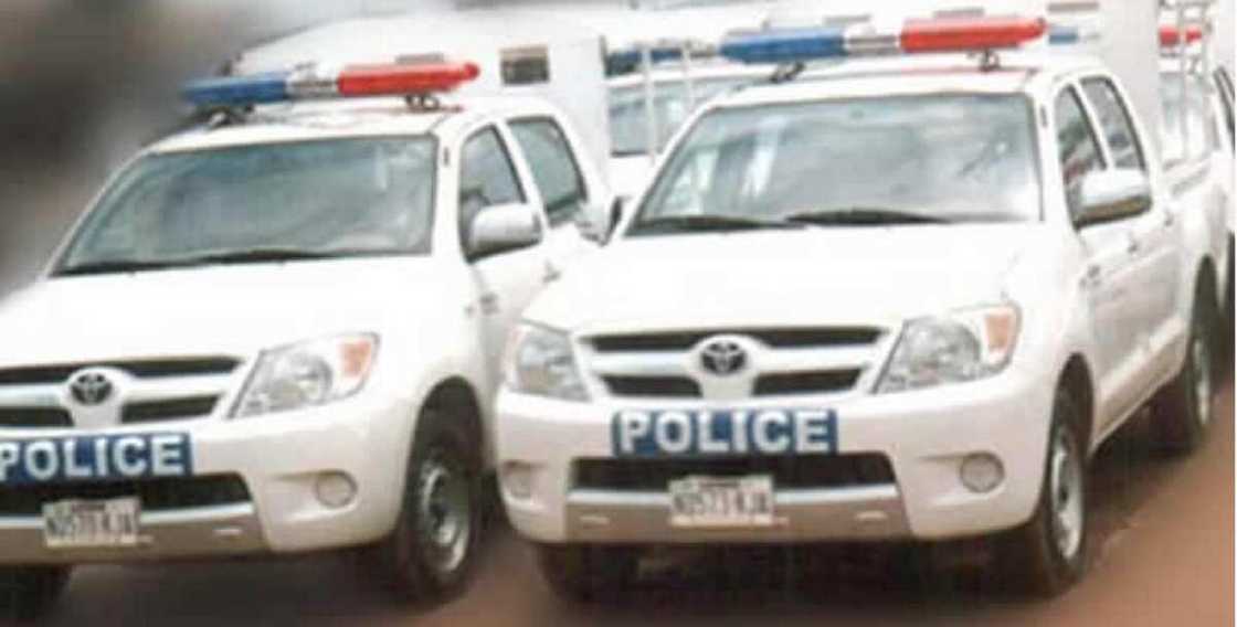 'Yan sanda sun kama kayan tallafin korona na jihar Benue da aka sayar a kasuwar Kano 'Yan sanda sun kama kayan tallafin korona na jihar Benue da aka sayar a kasuwar Kano