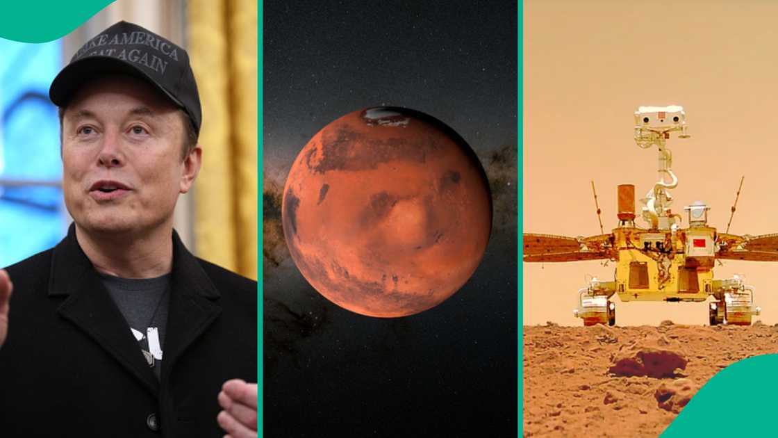 Elon Musk vowed to explore Mars. Elon Musk vowed to explore Mars.