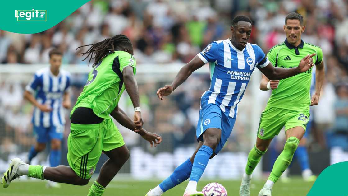 Calvin Bassey, Super Eagles, Brighton, Fulham, Super Eagles, Ola Aina