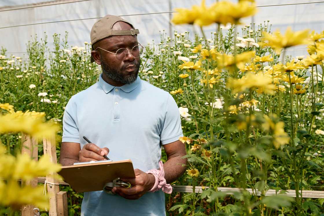 A young man recording data in a greenhouse.