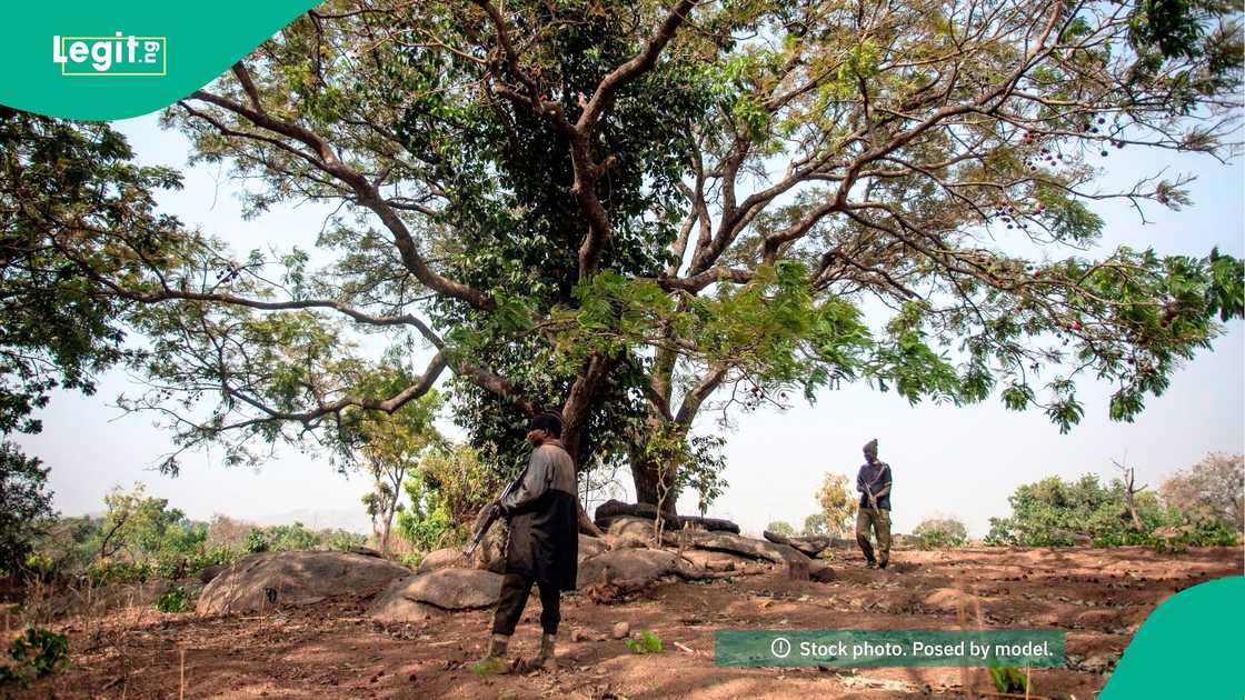 Five forest guards killed in Kwara as survivors raise alarm over neglect