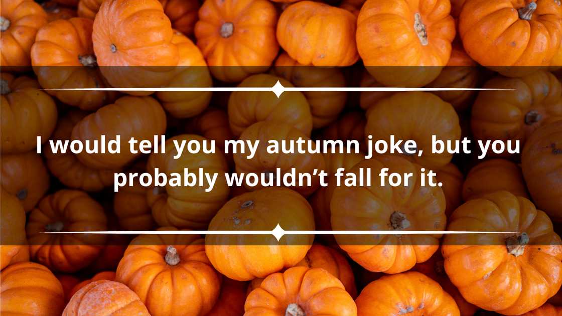 Fall puns for Instagram