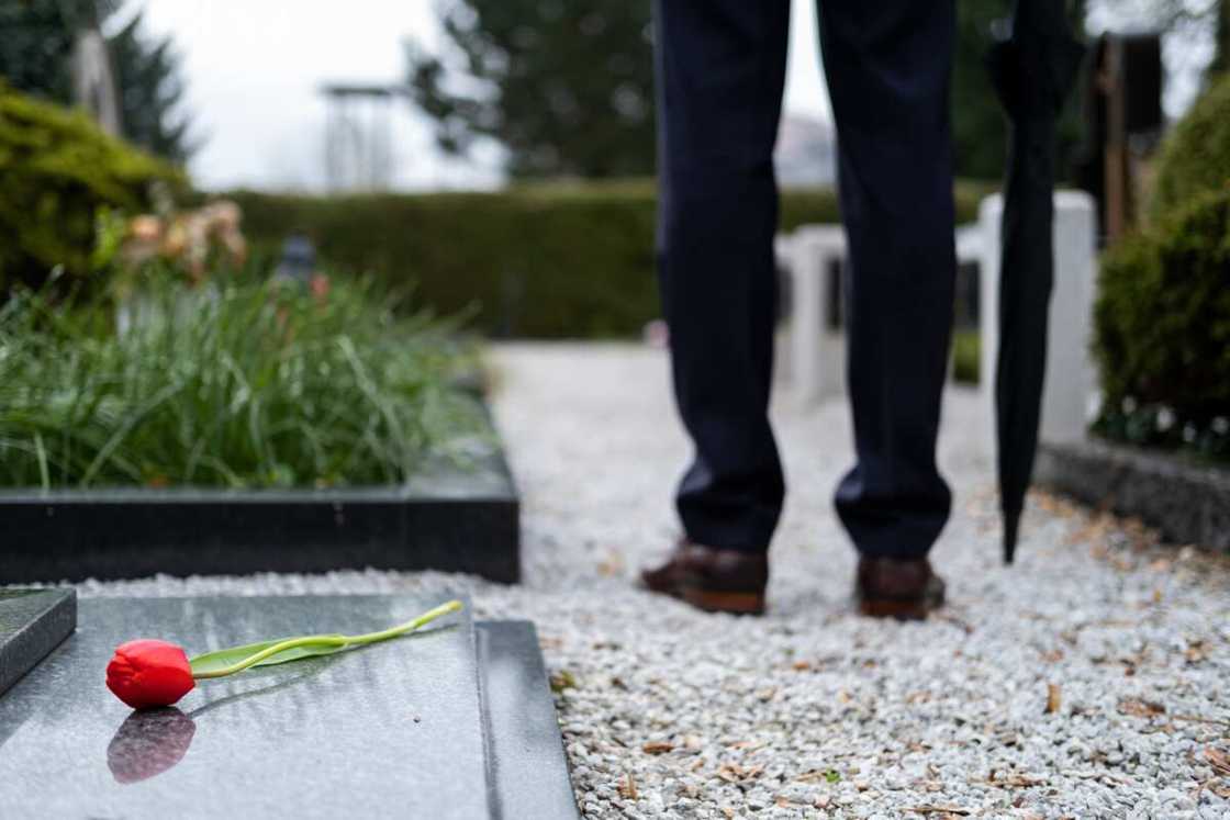 how to write a tribute to my late father how to write a tribute to my late father