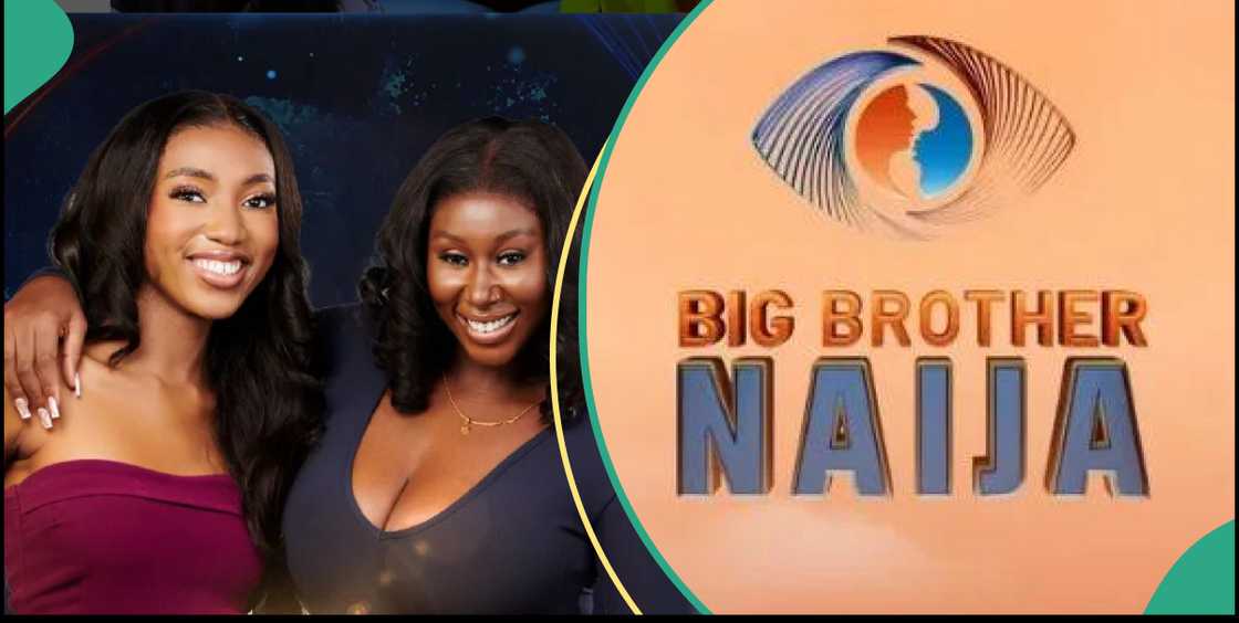BBNaija Nelita win Head of House and Immunity Challenge BBNaija Nelita win Head of House and Immunity Challenge