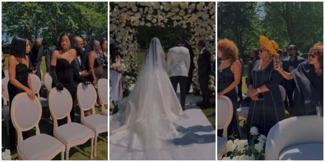 Wedding guests Wedding guests