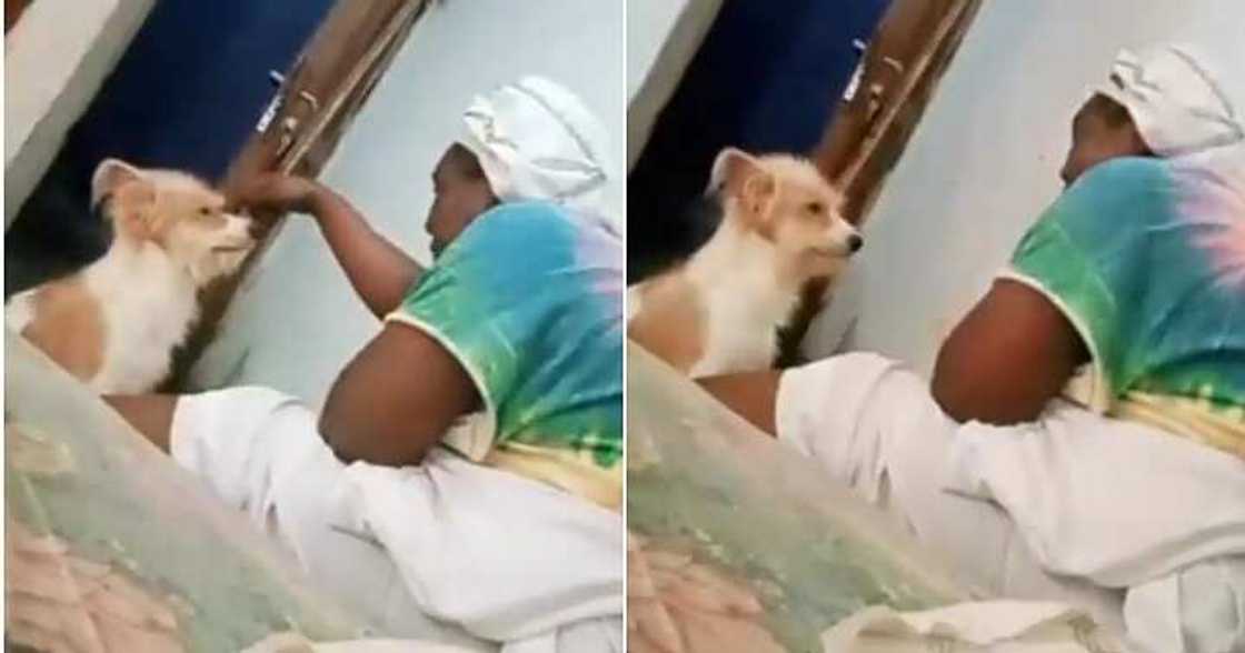 African mother tackles dog, emotional post