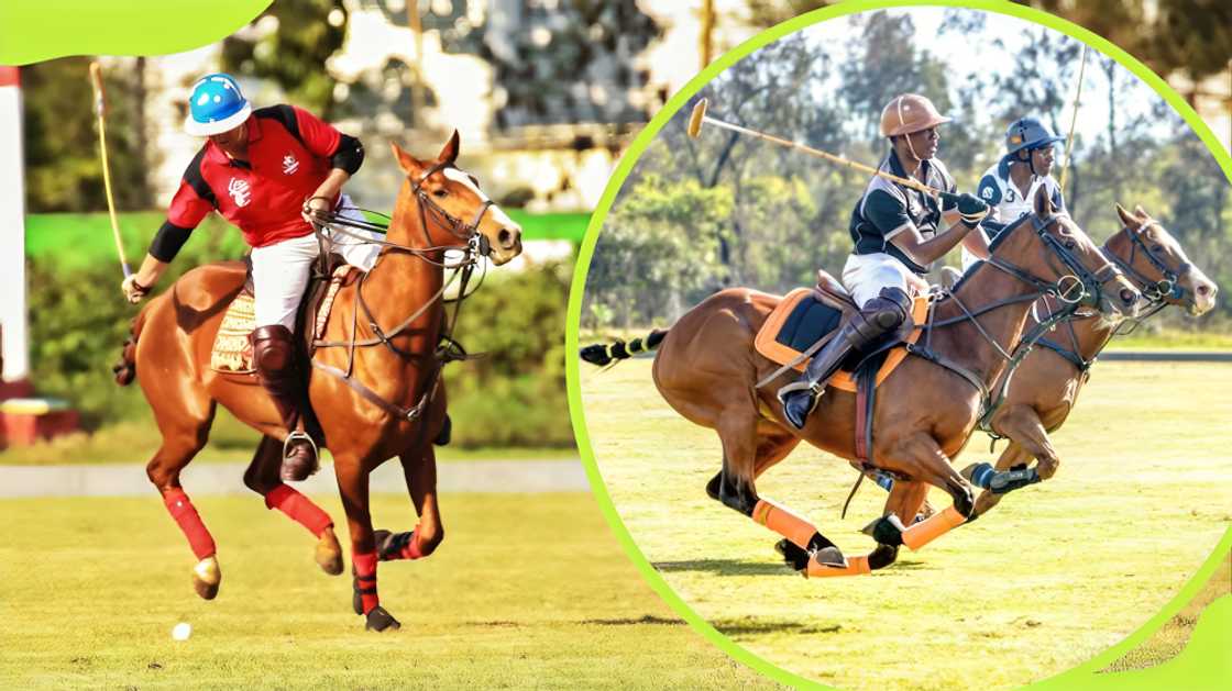 most expensive sports in the world most expensive sports in the world