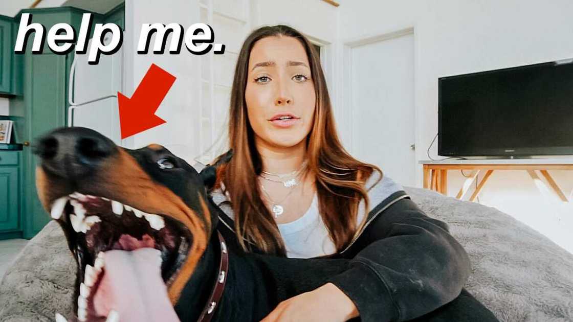 Brooke Houts dog Brooke Houts dog