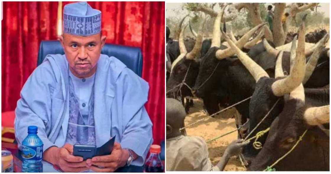 Miyetti Allah/MACBAN/Atiku Lamido Miyetti Allah/MACBAN/Atiku Lamido