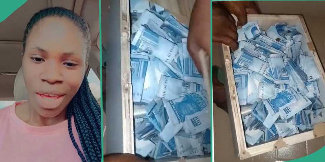 Lady and her husband breaks piggy bank. Lady and her husband breaks piggy bank.