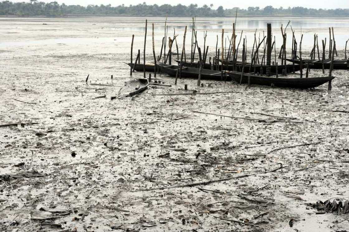 Shell has always attributed pollution in Nigeria to sabotage and said it has cleaned up affected areas