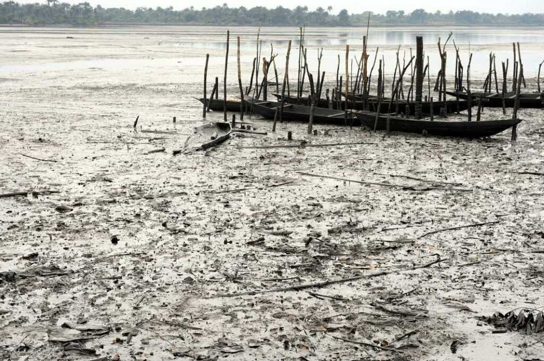 Shell has always attributed pollution in Nigeria to sabotage and said it has cleaned up affected areas Shell has always attributed pollution in Nigeria to sabotage and said it has cleaned up affected areas