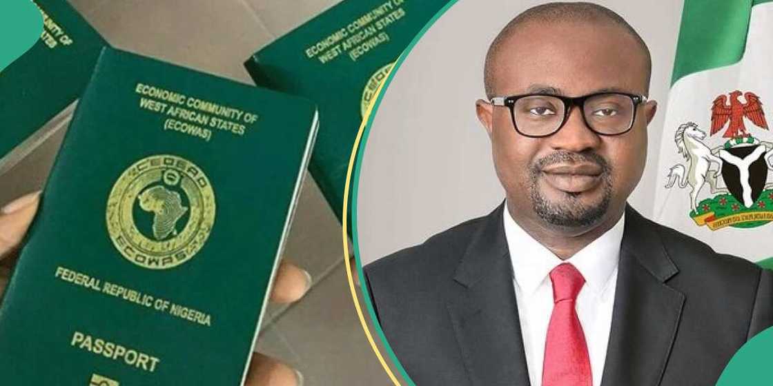 Nigerians Abroad Can Apply For Passport from Home Nigerians Abroad Can Apply For Passport from Home