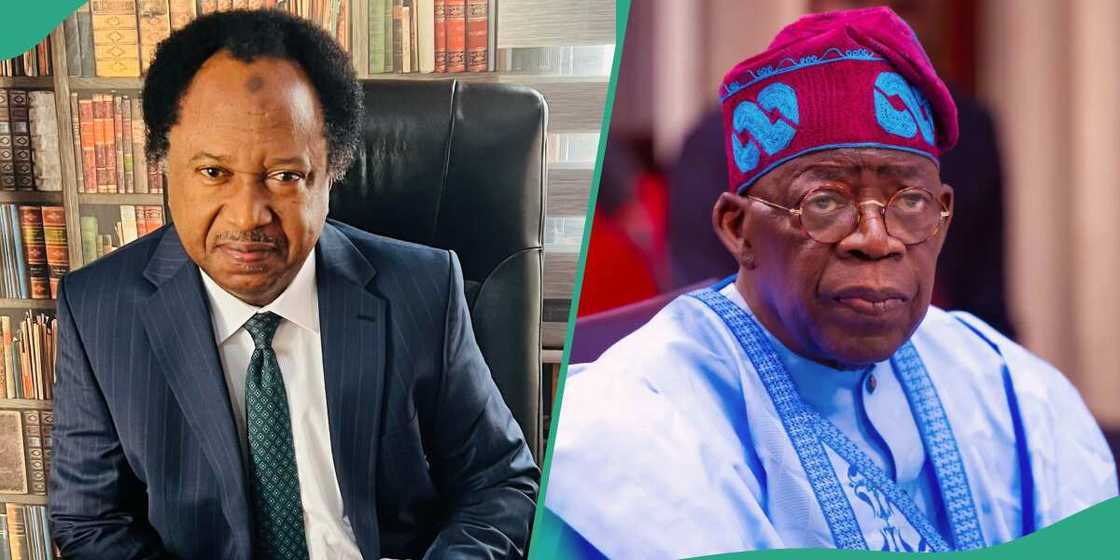 Shehu Sani has made a satirical comment about President Bola Tinubu's message that Nigerians should switch off their electricity when not in use in the day. Shehu Sani has made a satirical comment about President Bola Tinubu's message that Nigerians should switch off their electricity when not in use in the day.