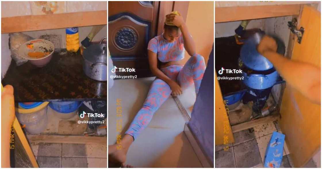 Nigerian lady, insects, pot, cupbaord, kitchen Nigerian lady, insects, pot, cupbaord, kitchen