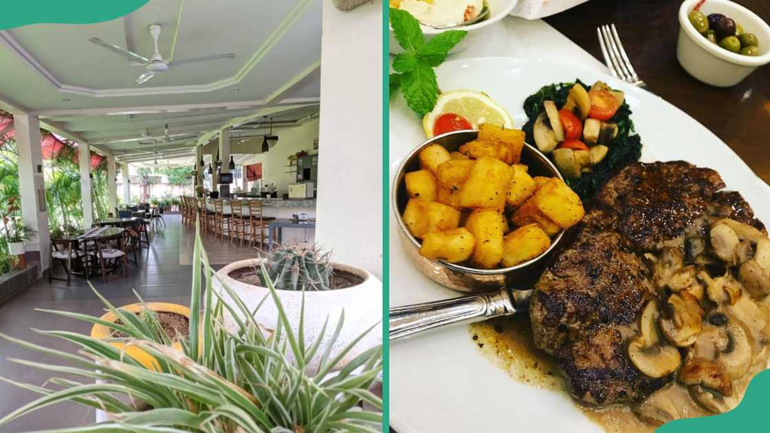 Muffins n Brownies restaurant interiors and a meal option