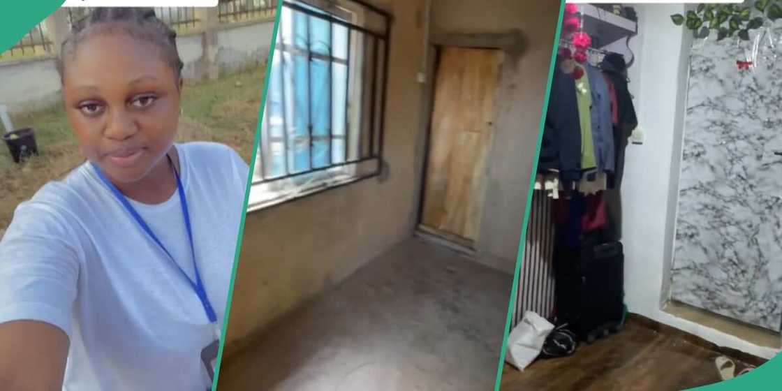 Interior decor idea/wallpapers and carpets Interior decor idea/wallpapers and carpets