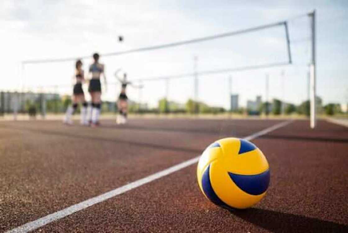 Volleyball's Soaring Ascent: From Beaches to International Arenas Volleyball's Soaring Ascent: From Beaches to International Arenas