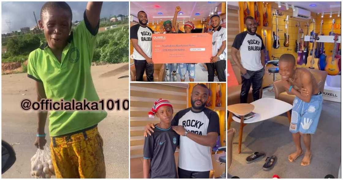 Egg hawker, N1m Egg hawker, N1m