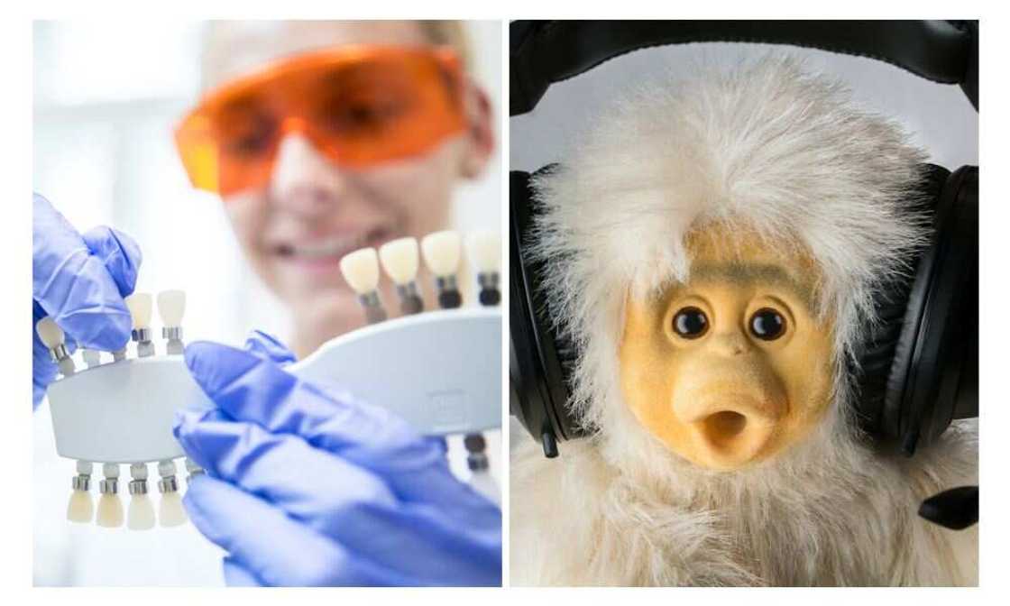 Neuralink, brain chip implant Neuralink, brain chip implant