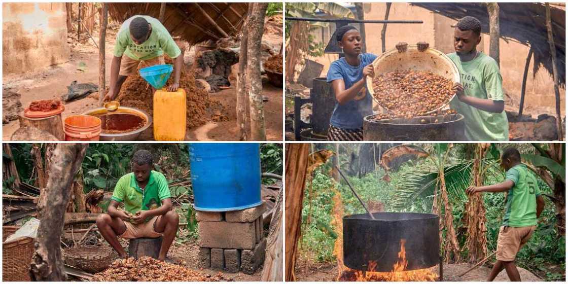 Viral photos of young Nigerian student who makes palm oil as a hustle inspires many people Viral photos of young Nigerian student who makes palm oil as a hustle inspires many people