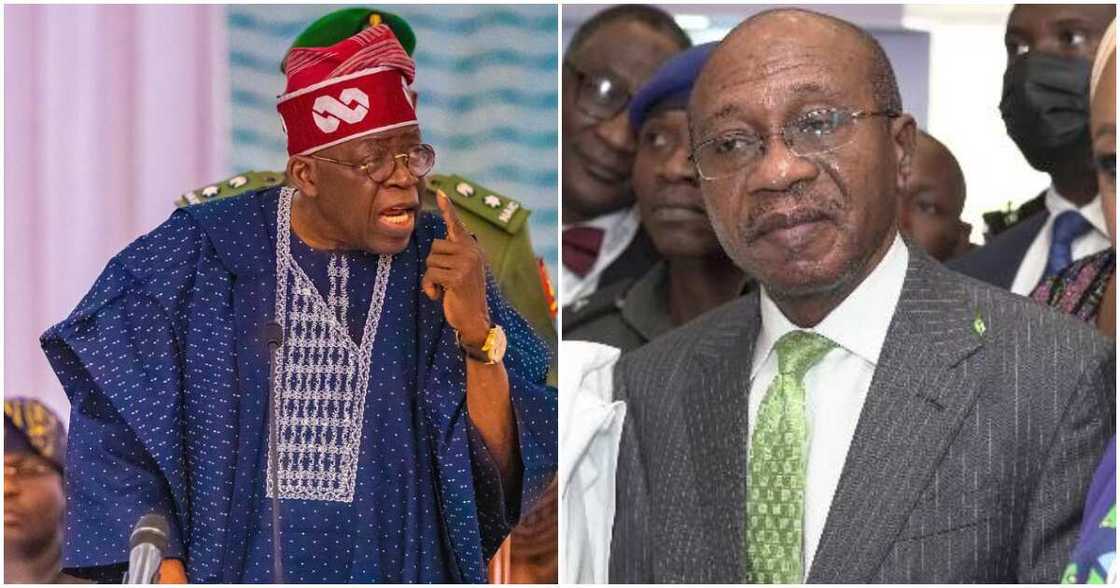 Bola Tinubu/Latest about Bola Tinubu