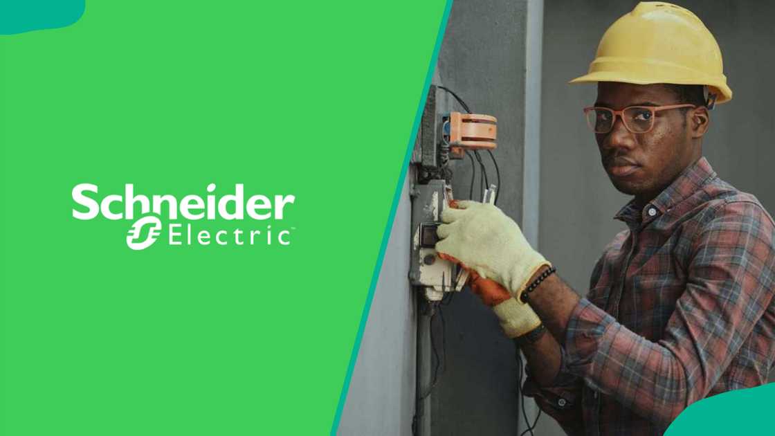 Schneider Electric's logo and an engineer working Schneider Electric's logo and an engineer working