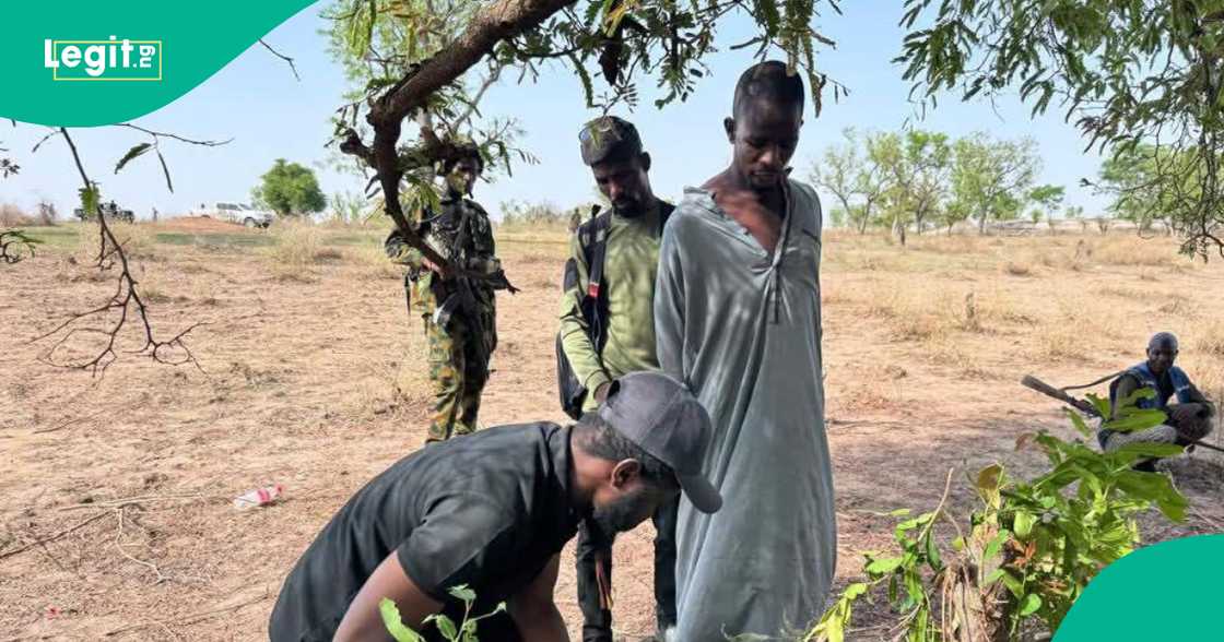 Dan Bindiga Dan Bindiga