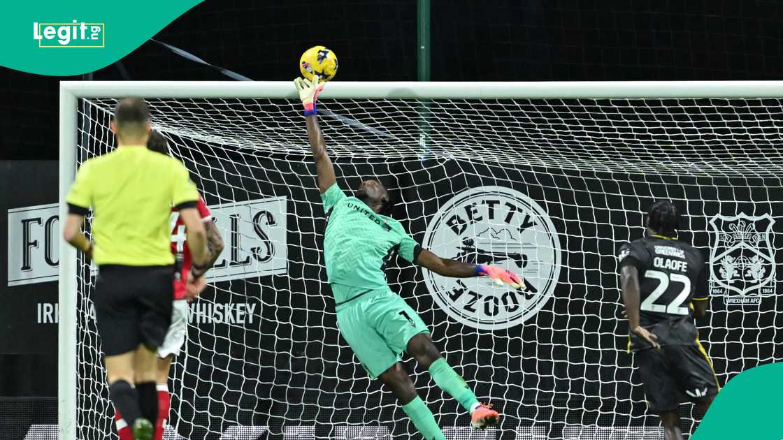 Arthur Okonkwo, Arsenal, Super Eagles, AFCON, Ryan Alebiosu, Eric Chelle Arthur Okonkwo, Arsenal, Super Eagles, AFCON, Ryan Alebiosu, Eric Chelle