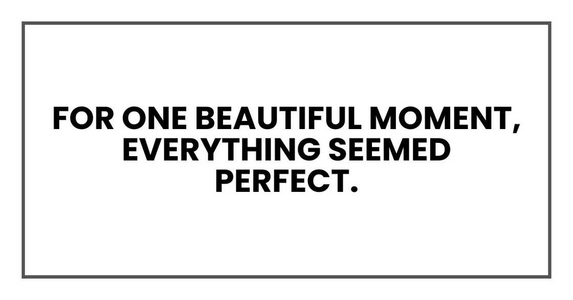 For one beautiful moment, everything seemed perfect. For one beautiful moment, everything seemed perfect.