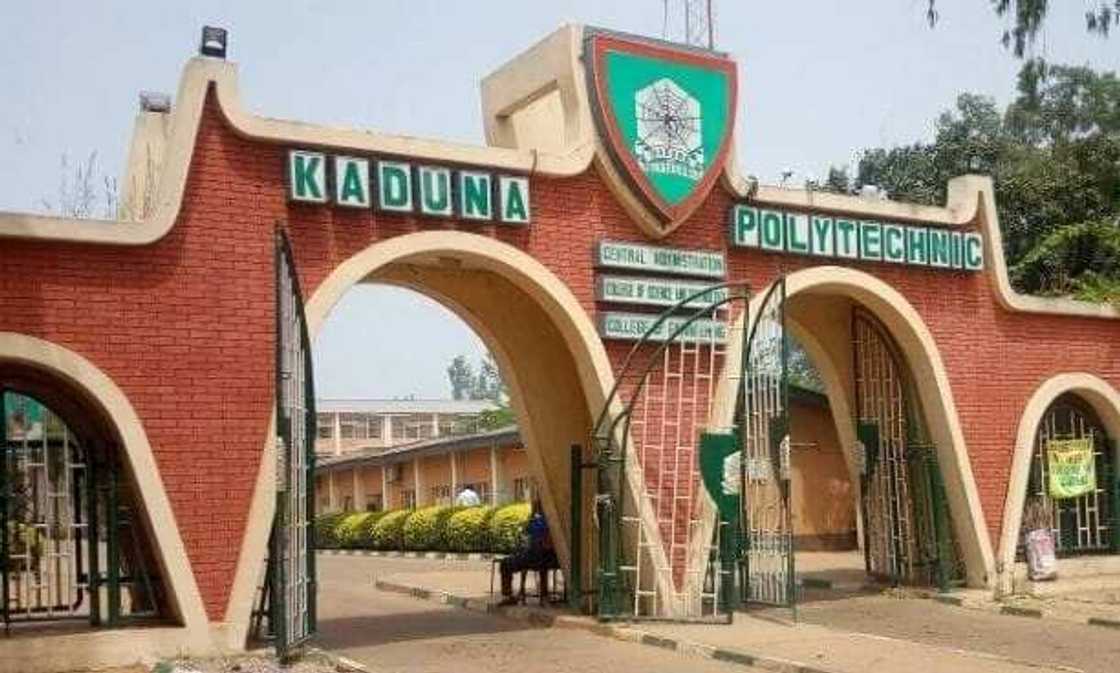 Kungiyar manyan ma'aikatan Poly a Najeriya sun shiga yajin aiki Kungiyar manyan ma'aikatan Poly a Najeriya sun shiga yajin aiki