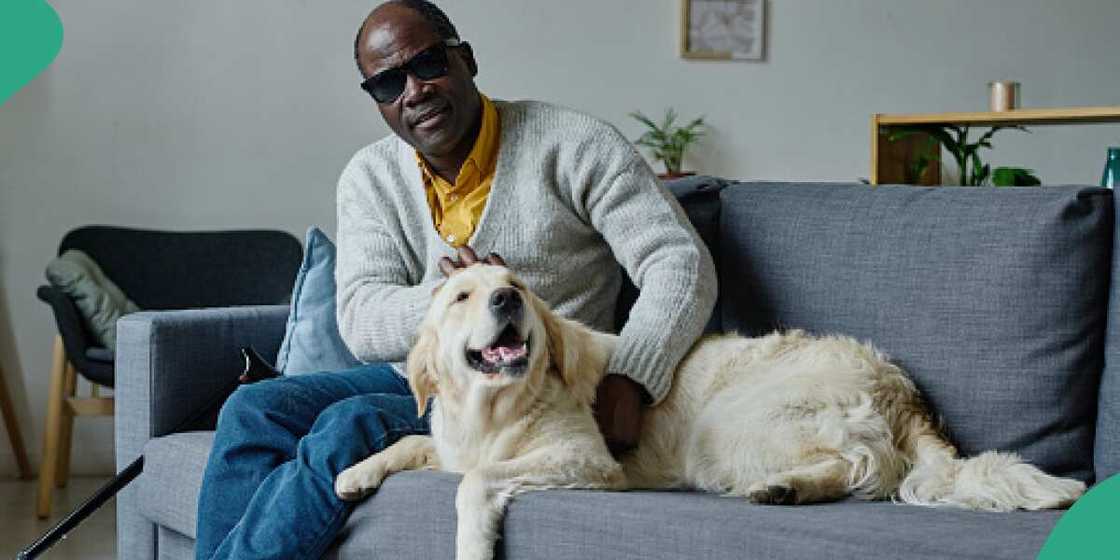 Man, church, dogs Man, church, dogs