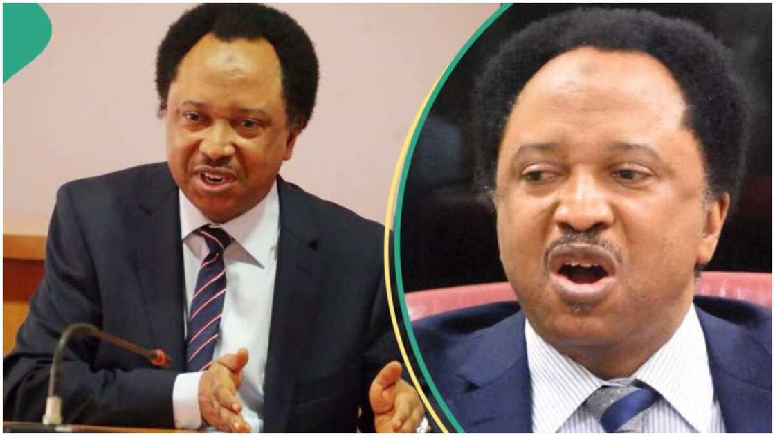 Shehu Sani speaks on NCC ban/Shehu Sani on banditry in Northern Nigeria Shehu Sani speaks on NCC ban/Shehu Sani on banditry in Northern Nigeria