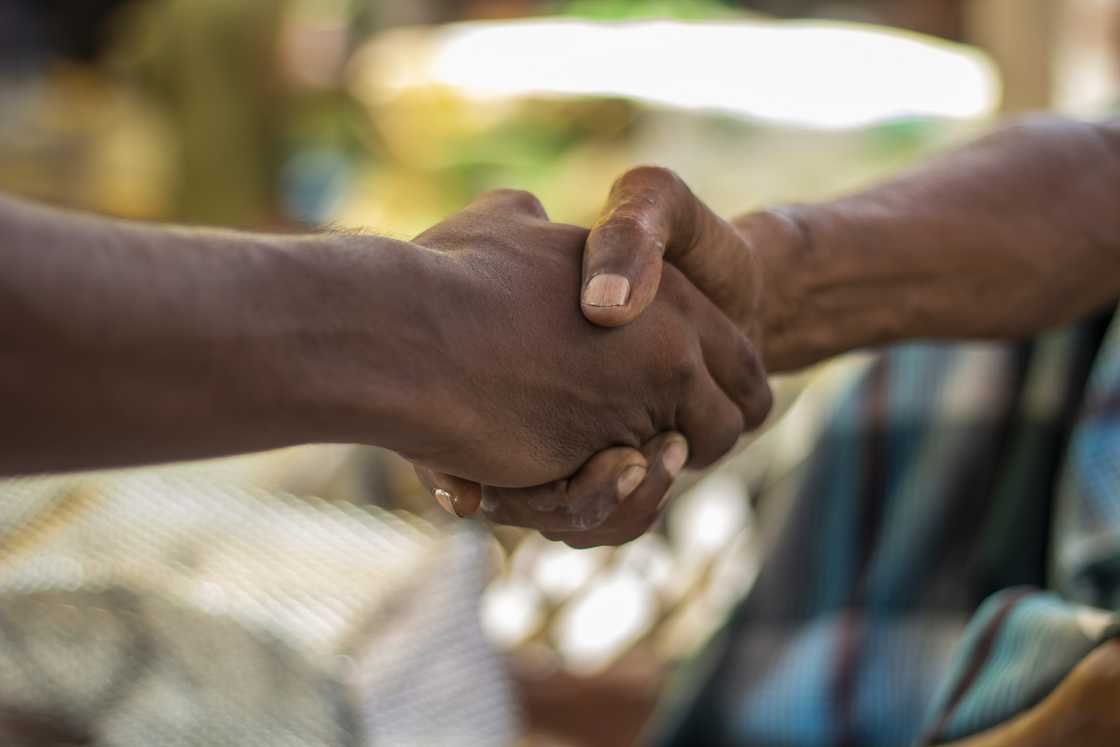 Two hands clasp in a firm handshake. Two hands clasp in a firm handshake.