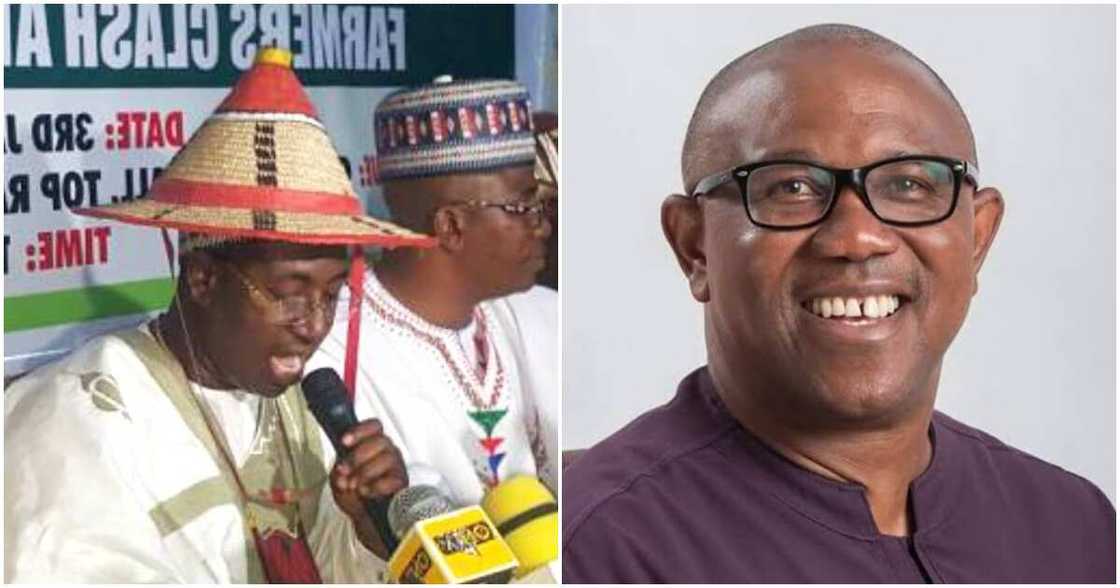 Labour Party, Peter Obi, 2023 election, The Miyetti Allah Kautal Hore, Biafran Labour Party, Peter Obi, 2023 election, The Miyetti Allah Kautal Hore, Biafran