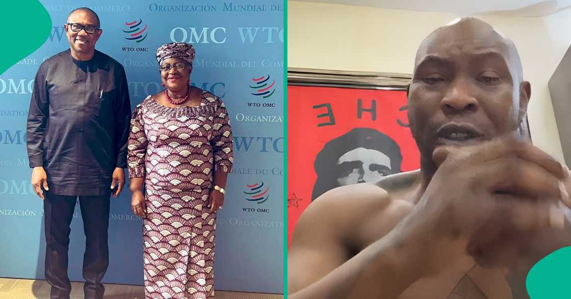 Seun Kuti blasts Ngozi Okojie-Iweala and Peter Obi over Nigeria's economy. Seun Kuti blasts Ngozi Okojie-Iweala and Peter Obi over Nigeria's economy.