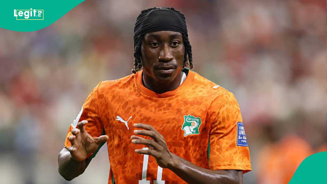 Yan Diomande, Arsenal, Gunners, Premier League, England, Chelsea