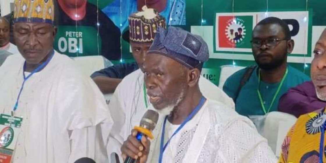 Lamidi Apapa/Labour Party Lamidi Apapa/Labour Party