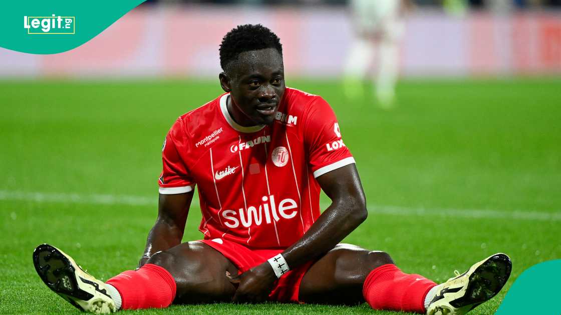 Akor Adams will not play for Nigeria at the 2026 World Cup qualifiers this month. Akor Adams will not play for Nigeria at the 2026 World Cup qualifiers this month.
