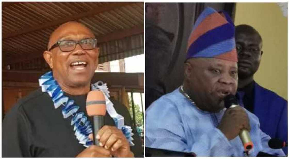 Obi, Adeleke Obi, Adeleke
