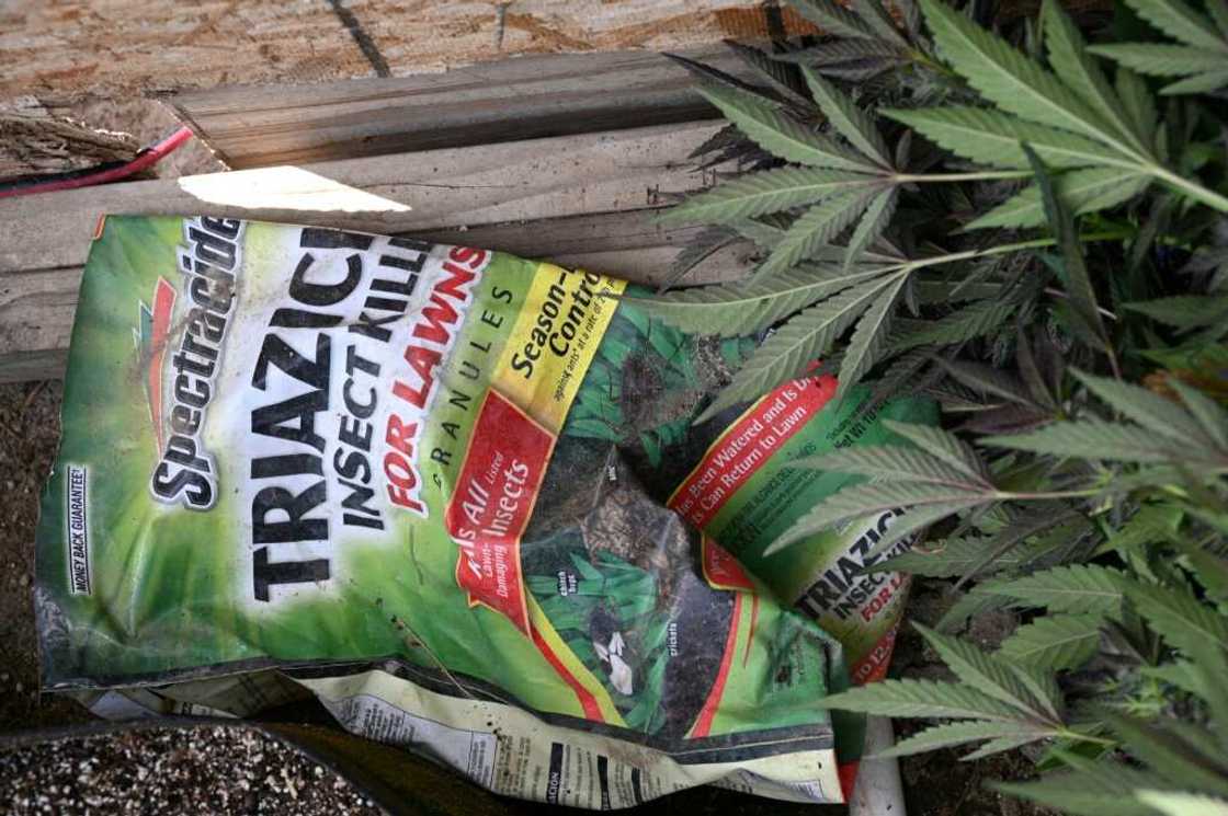 While some of the pesticides used by growers are legal, they are not intended for use on crops that will be ingested While some of the pesticides used by growers are legal, they are not intended for use on crops that will be ingested