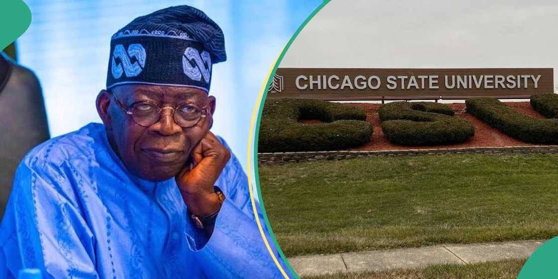 Tinubu/Bola Tinubu/Bola Tinubu news/Latest about Bola Tinubu/Chicago State University