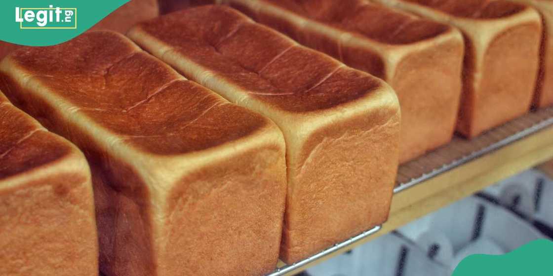 An gurfanar da ma'aikata 2 da laifin satar biredi An gurfanar da ma'aikata 2 da laifin satar biredi