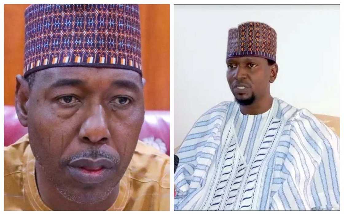 Kai karamin kwaro ne: Zulum ya mayarwa Jajari martani mai zafi Kai karamin kwaro ne: Zulum ya mayarwa Jajari martani mai zafi