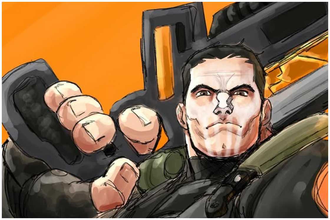 The Punisher The Punisher