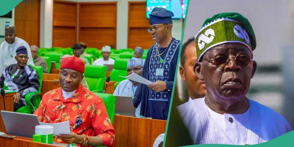 parliamentary system of government Nigeria/presidential system of government Nigeria parliamentary system of government Nigeria/presidential system of government Nigeria