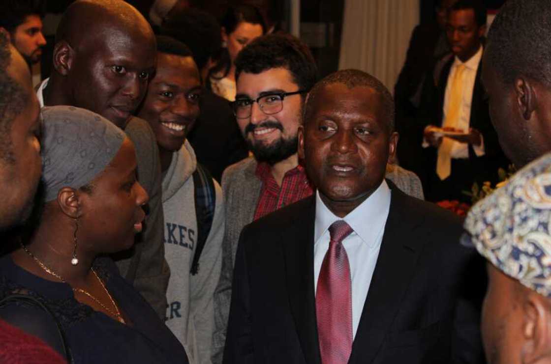 Aliko Dangote education history Aliko Dangote education history