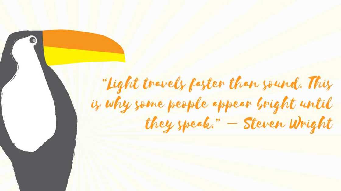 Funny sarcastic quotes Funny sarcastic quotes