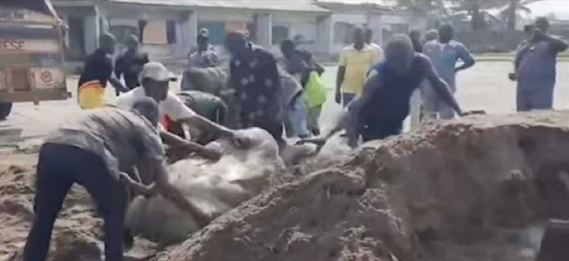 Kwastam ta kama tabar wiwi ta fiye da Naira Miliyan 91 a Legas Kwastam ta kama tabar wiwi ta fiye da Naira Miliyan 91 a Legas