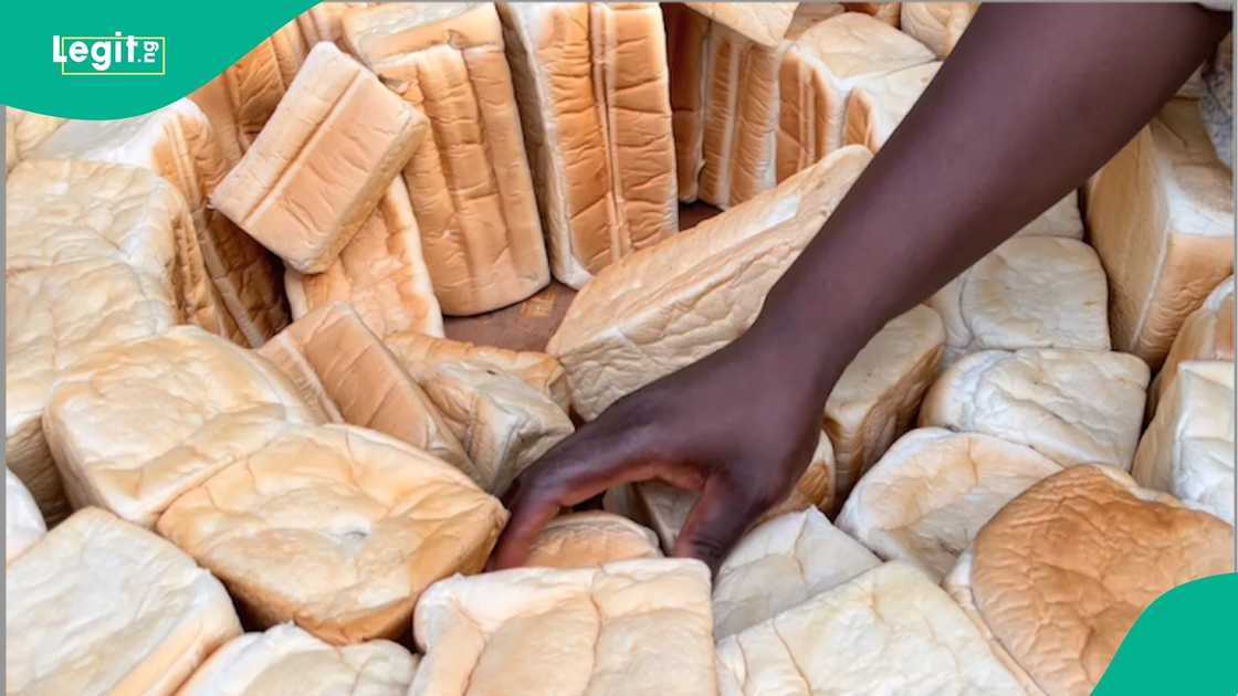 Tea sellers, families suffer as Nigeria’s bread prices remain stubbornly high Tea sellers, families suffer as Nigeria’s bread prices remain stubbornly high